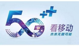 最新时政爆料网站推荐,权威网站推荐不容错过的独家爆料