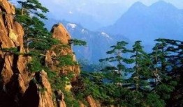 娱乐吃瓜君黄山,揭秘娱乐圈背后的那些事儿