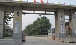 吴川学校爆料视频大全集,揭秘校园风云录