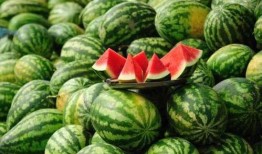 拉萨网红吃瓜事件真相揭秘,真相与误解的交织