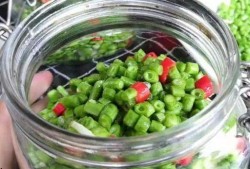 酸豆角爆料视频大全集,揭秘幕后真相与趣味瞬间