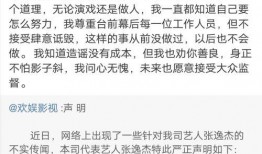 爆料张姓艺人名单大全最新,张姓艺人名单大全最新爆料，娱乐圈风云再起