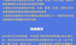 澳门最新政策爆料视频,视频爆料揭示关键细节