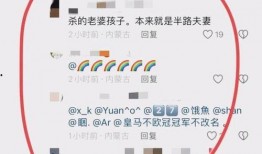 玉山网友爆料案件最新消息,案情再掀波澜，真相逐渐浮出水面