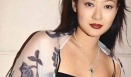 圈内爆料陈宝莲视频,圈内爆料引发热议