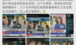 爆料真实视频事件大全集,惊心动魄的瞬间回顾