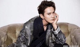 徐正溪最新爆料视频播放,幕后故事与心路历程