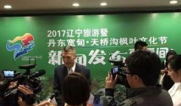 辽宁宽甸爆料新闻事件,揭开神秘事件背后的真相