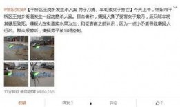 信阳爆料女子死亡案件最新,悲剧背后揭开惊人真相