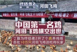 鸡场老板爆料视频大全播放,视频大全揭秘养殖内幕