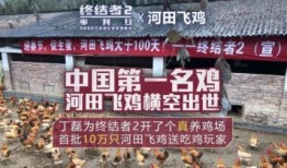 鸡场老板爆料视频大全播放,视频大全揭秘养殖内幕