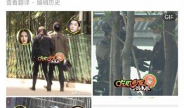 两个人的爆料视频大全集,视频大全集深度解析