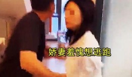 妻子出轨爆料视频大全集,妻子出轨视频全集深度剖析
