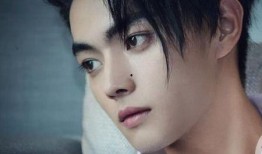 一哥爆料白鹿许凯视频,甜蜜互动引网友热议