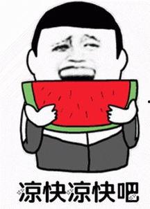 娱乐吃瓜君太阳,揭秘娱乐圈的璀璨明星