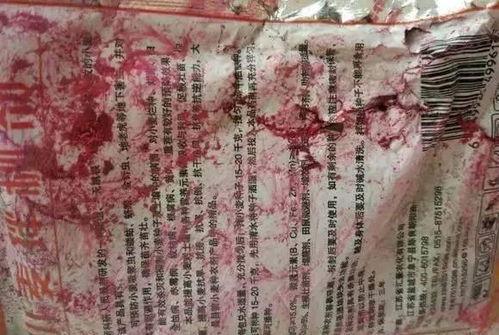 娱乐吃瓜君和二豆妈,揭秘娱乐圈背后的故事